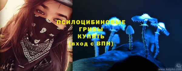 эйфоретик Ельня