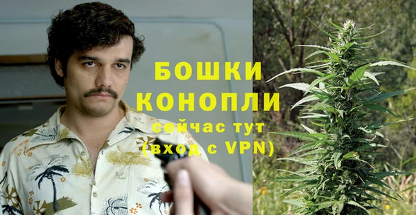 мяу мяу мука Елизово
