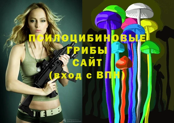 мяу мяу мука Елизово