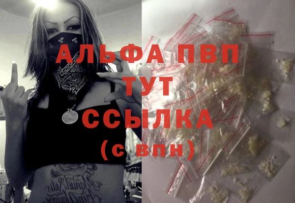 эйфоретик Ельня