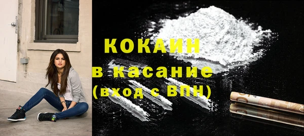 мяу мяу мука Елизово