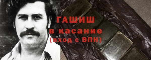 эйфоретик Ельня