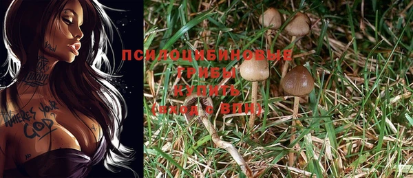 таблы Елабуга