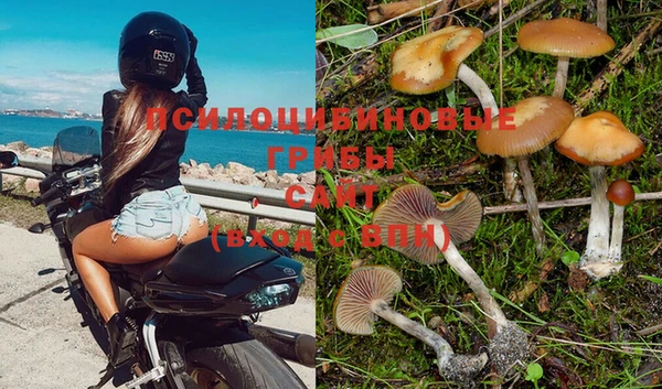 круглые Заводоуковск