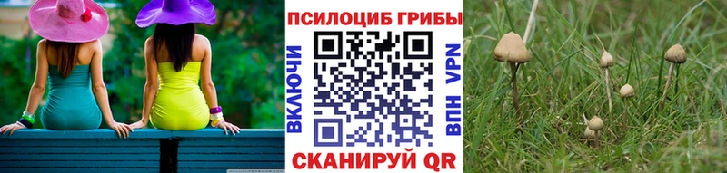 Псилоцибиновые грибы ЛСД  Купить где  Кирово-Чепецк 